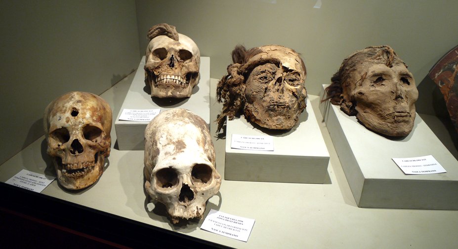 Nazca Museum